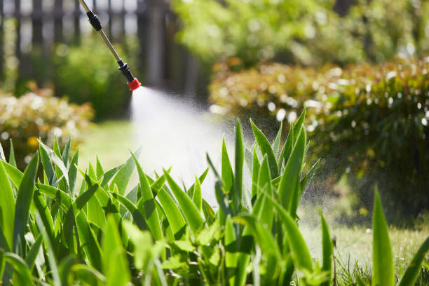 Tamper-Resistant Bait Stations for Rodents in Victor