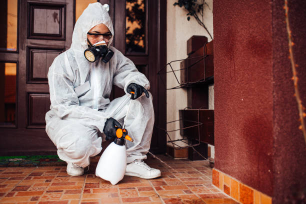 Attic and Crawl Space Rodent Treatment in Victor
